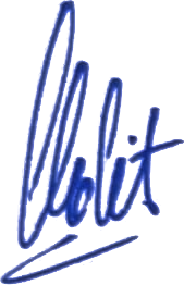 Mohit Meharde Signature